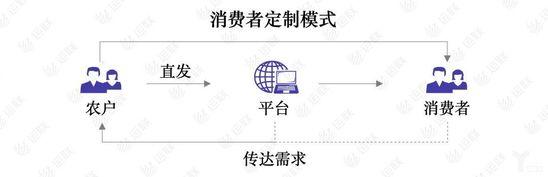 消费者定制模式