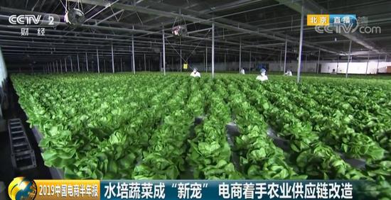 《2019中国电商半年报》