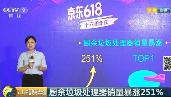 《2019中国电商半年报》